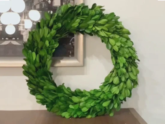 100% Natural Preserved Buxus Sinica Square Wreath Frame Triplet S